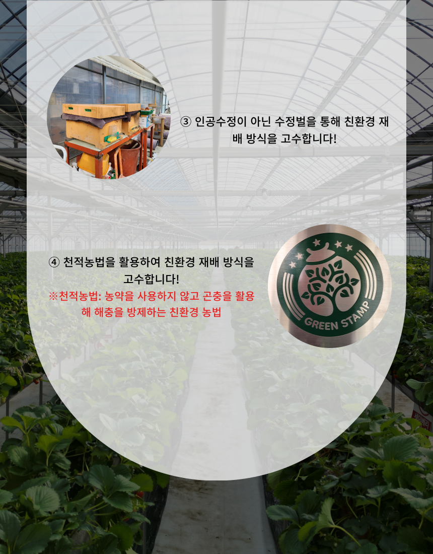 5cfbff81ecec2e07b6e62b8162dca613_1755846891_7.png