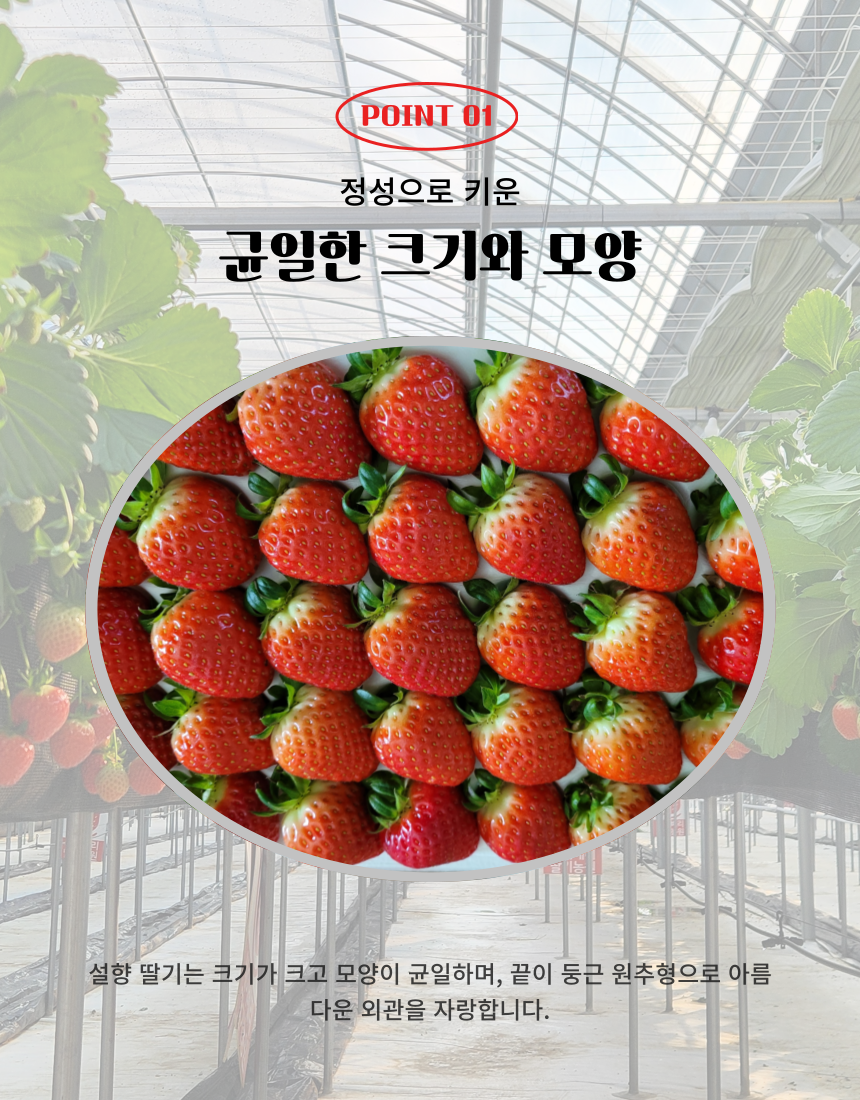 5cfbff81ecec2e07b6e62b8162dca613_1755847080_78.png