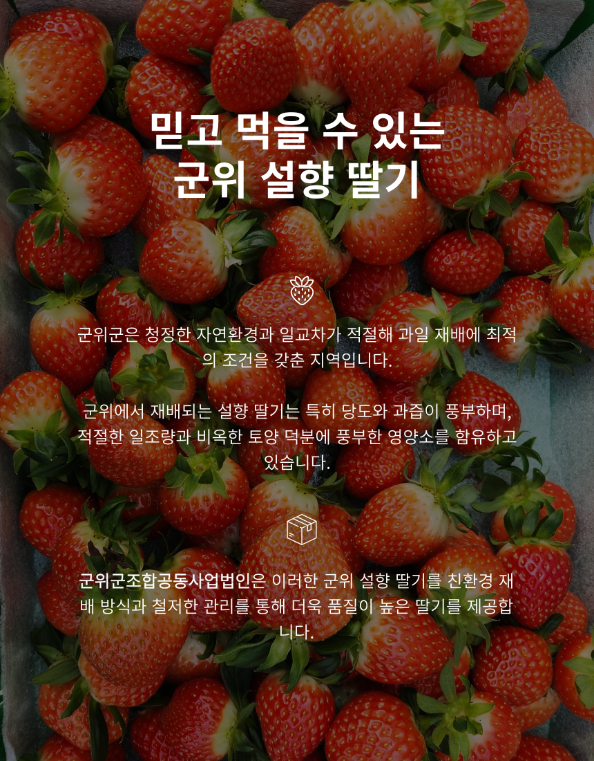 5cfbff81ecec2e07b6e62b8162dca613_1755847151_76.png