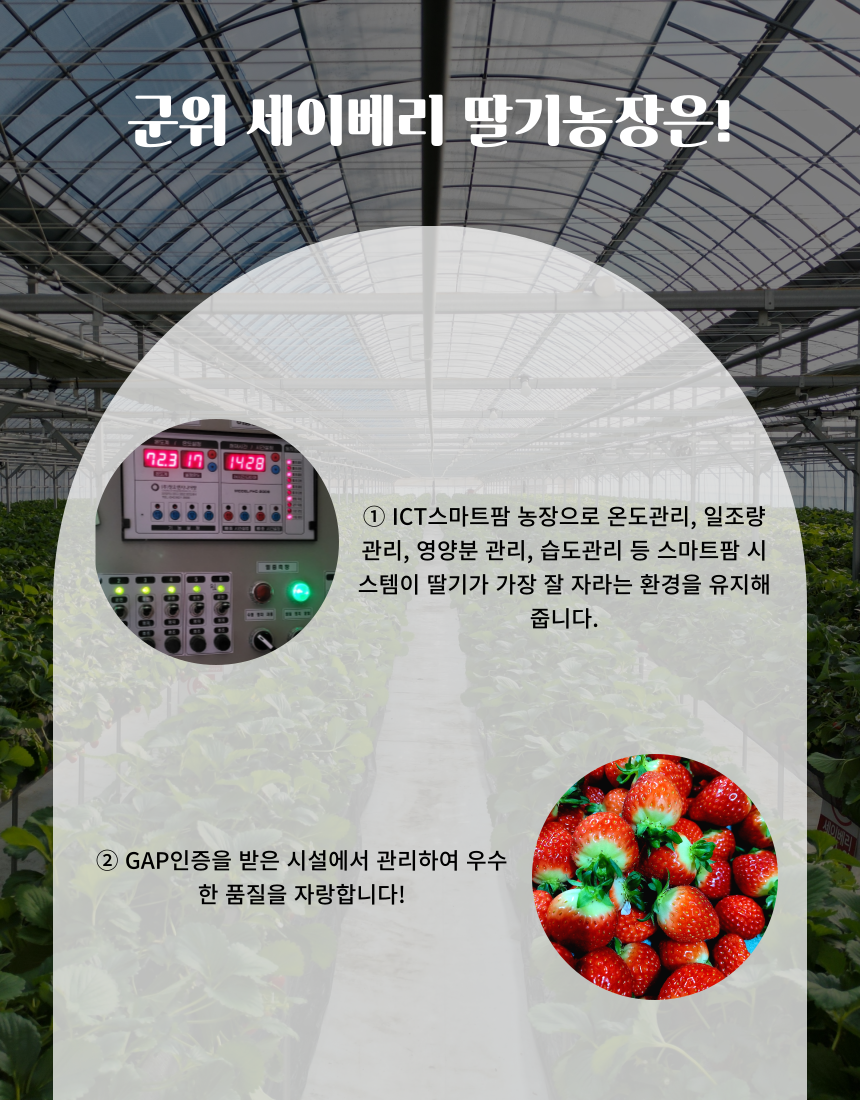 5cfbff81ecec2e07b6e62b8162dca613_1755847152_46.png