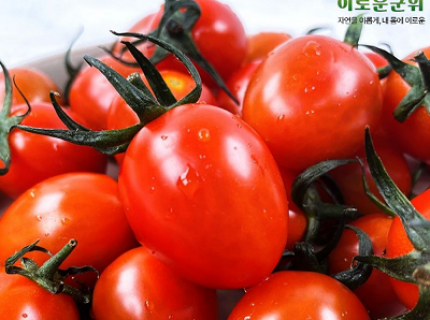 [산지직송] 자연을 담은 군위 무농약 대추방울토마토 5kg